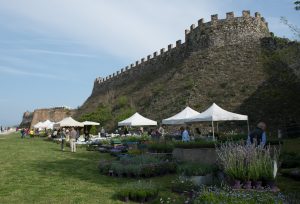 Fiori nella Rocca a Lonato