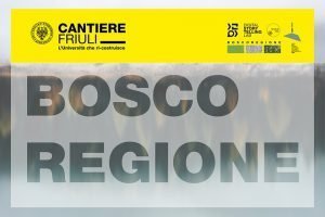 Scopri di più sull'articolo “Boscoregione” per ridisegnare il territorio del Fvg in forma sostenibile