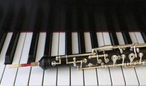Scopri di più sull'articolo Nuovo concerto degli allievi del master International Oboe Academy martedì 30 aprile a Villa Tissano