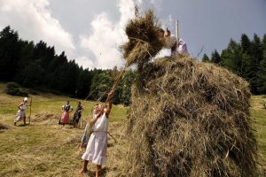Scopri di più sull'articolo “Fasjn la mede” domenica 28 luglio in Carnia: festa della fienagione a Sutrio, nei prati dello Zoncolan