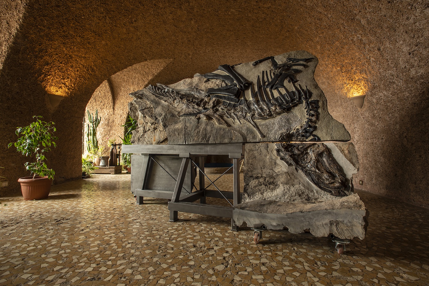 Al momento stai visualizzando Alla scoperta del dinosauro Bruno al castello di Duino, sabato 22 e domenica 23 febbraio