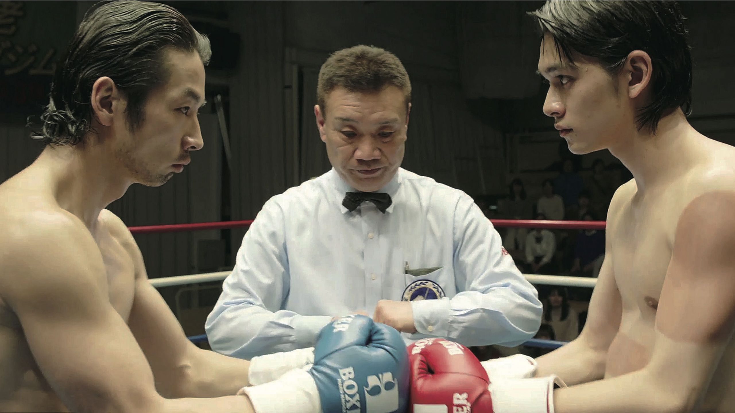 Al momento stai visualizzando Il Far East Film Festival 23 infila i guantoni e sale sul ring: è tempo di boxe
