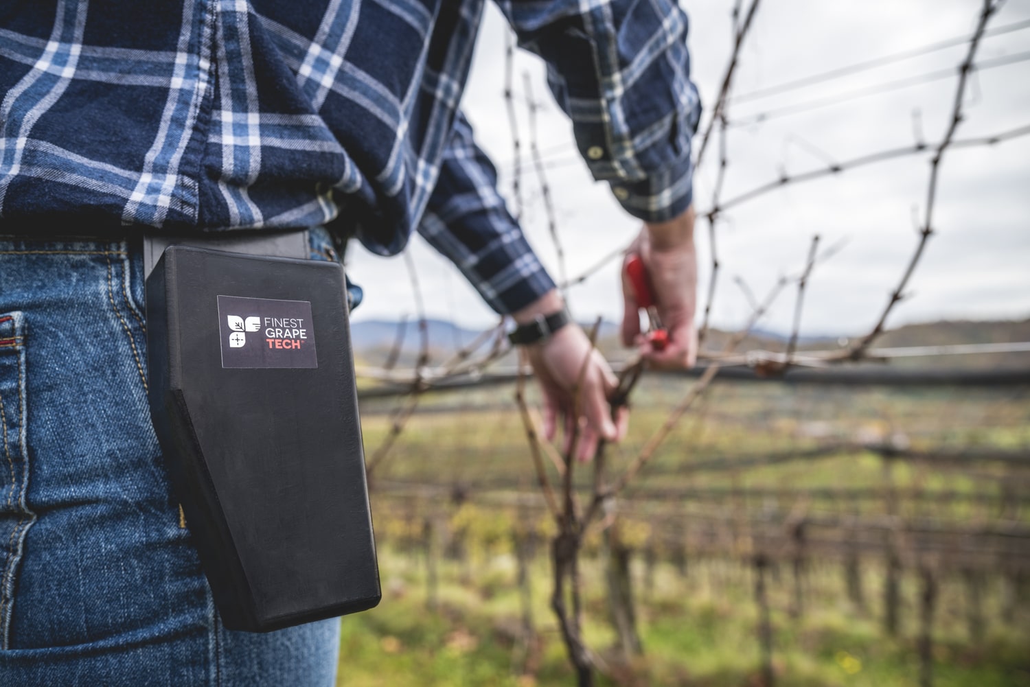 Scopri di più sull'articolo FINEST GRAPE TECH, IL PROGETTO MADE IN FVG PER LA SALVAGUARDIA DELLE VITI