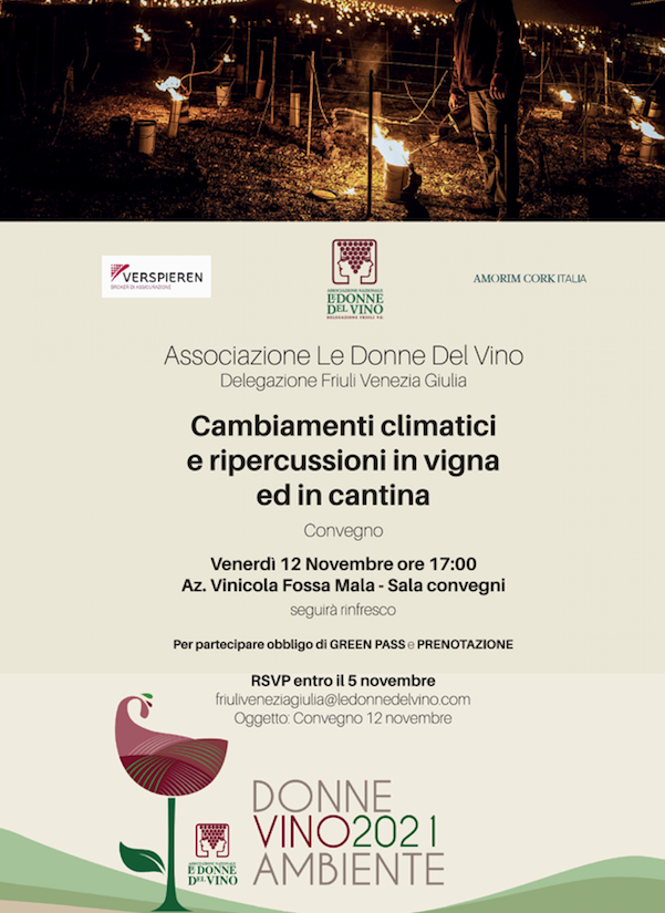 Al momento stai visualizzando Cambiamenti climatici e ripercussioni in vigna e cantina, convegno delle Donne del Vino FVG il 12 novembre a Fiume Veneto