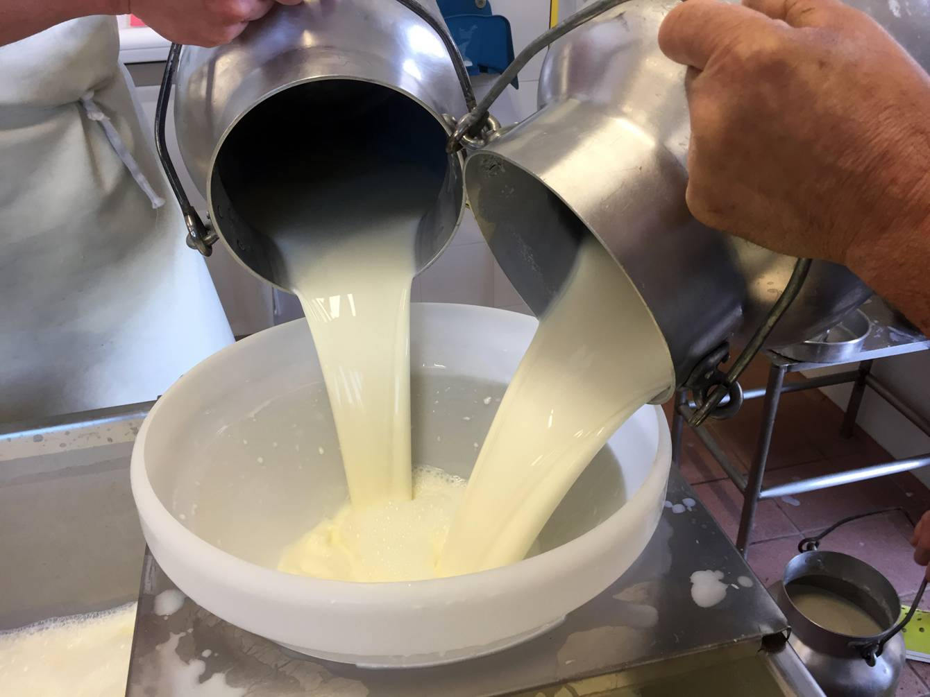 Al momento stai visualizzando “Latte nostro”, proiezione e degustazione venerdì 22 luglio al Visionario di Udine. Ospiti il regista Trentini e il direttore dell’Ecomuseodelle Acque del Gemonese Tondolo