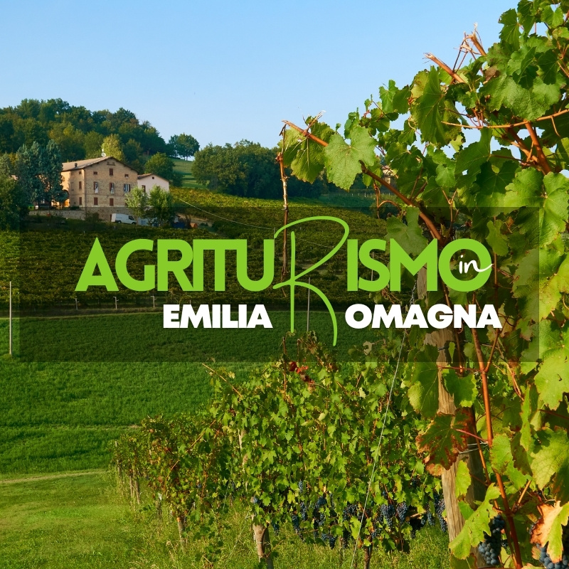 Al momento stai visualizzando Un nuovo sito per gli agriturismi dell’Emilia-Romagna. Lancio ufficiale previsto per il 2023