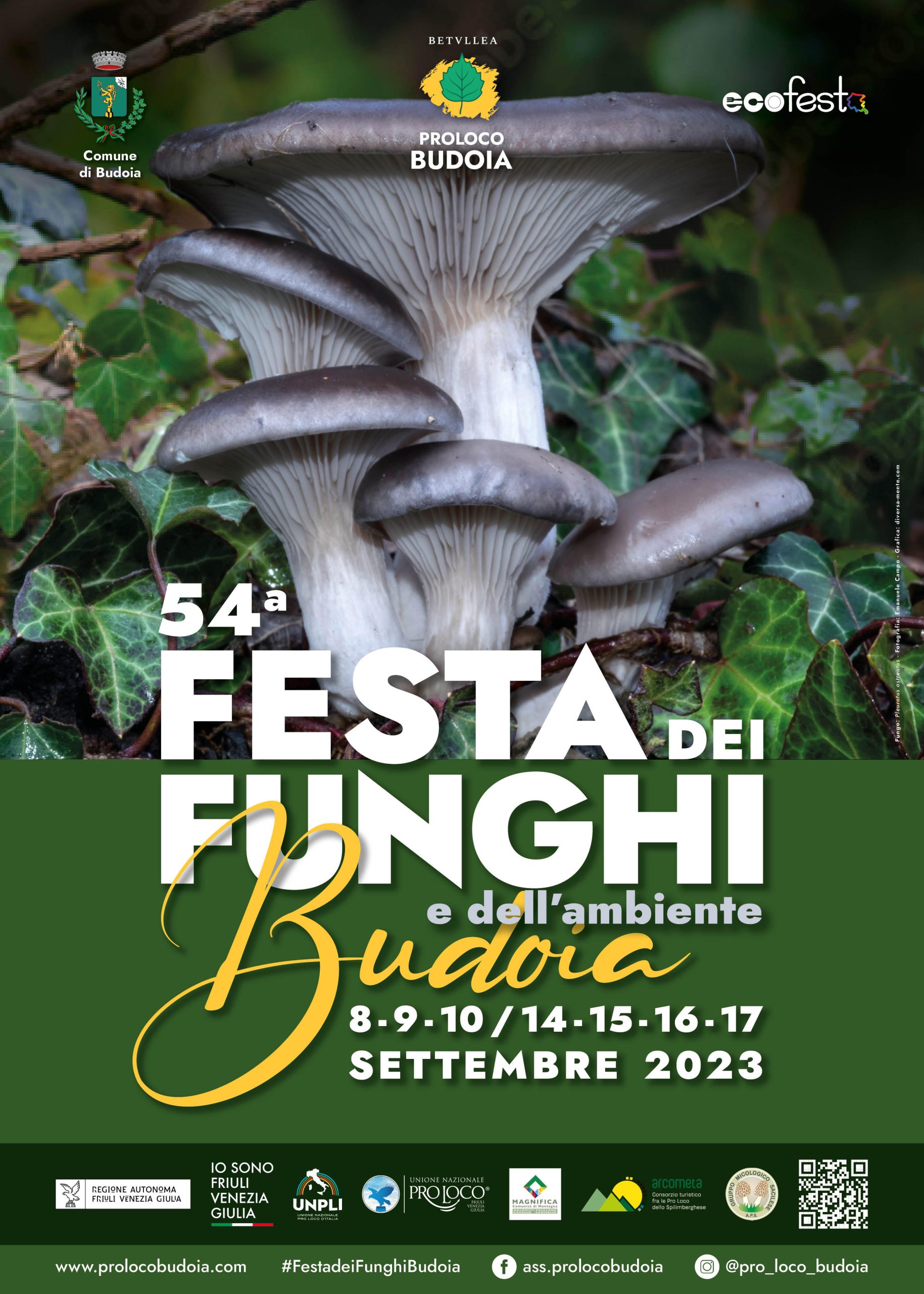 Al momento stai visualizzando Tutto pronto per la 54ͣ Festa dei Funghi e dell’Ambiente a Budoia (8-10 e 14 -17 settembre). Pubblicato il manifesto, riuniti i volontari ora si perfeziona il programma