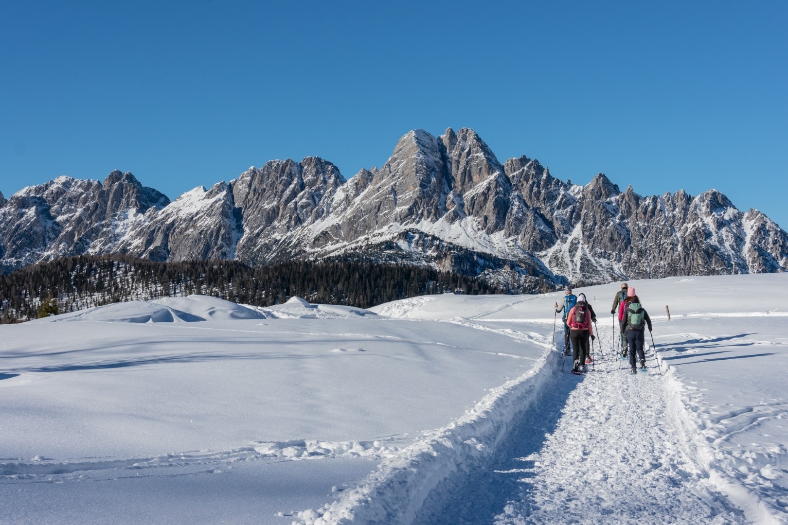 Scopri di più sull'articolo Carnia – Vivere la montagna oltre lo sci. Con Visit Zoncolan è subito… Experience