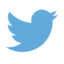 Twitter-Logo-2-534x400